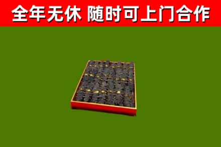 萝北县回收海参